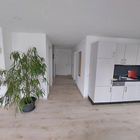 Ferienwohnung Koenigsquelle バート・ヴィルドゥンゲン エクステリア 写真