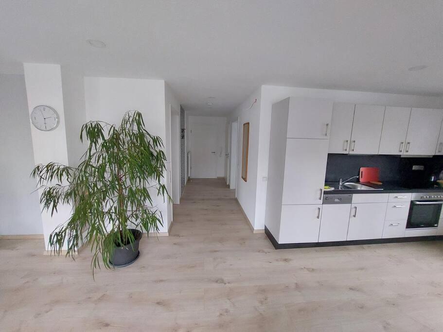 Ferienwohnung Koenigsquelle バート・ヴィルドゥンゲン エクステリア 写真